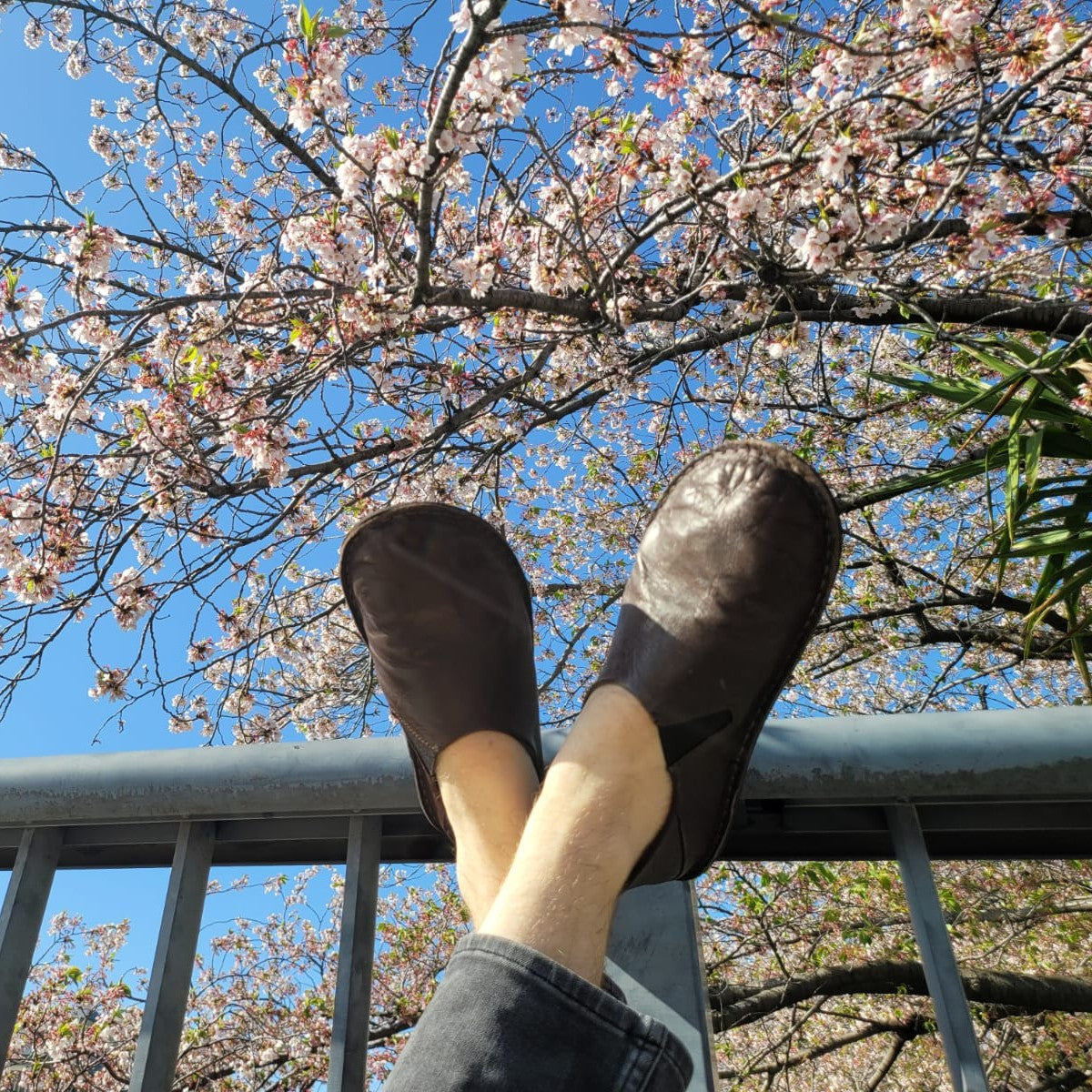 Japan Journal #3: Small World, Big Connections