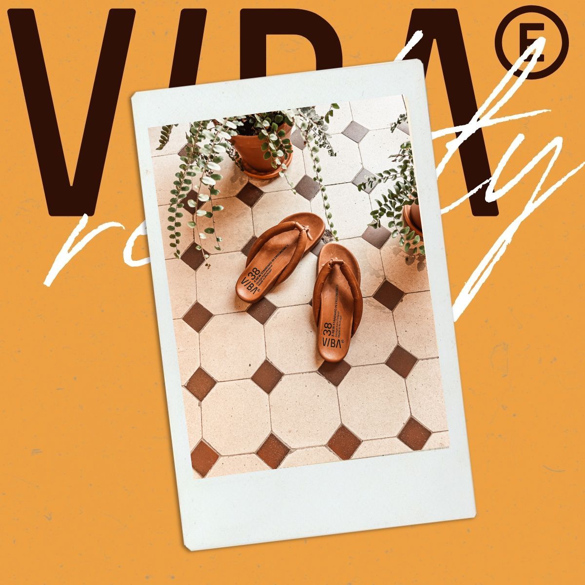 Flipflop Frenzy in Freezing January