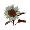 Selling point icon
